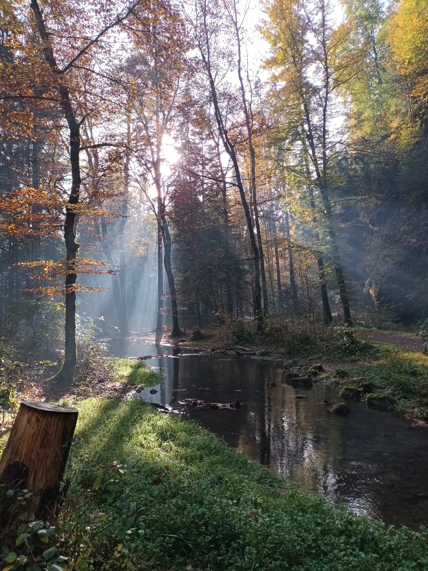 Herbstbummel