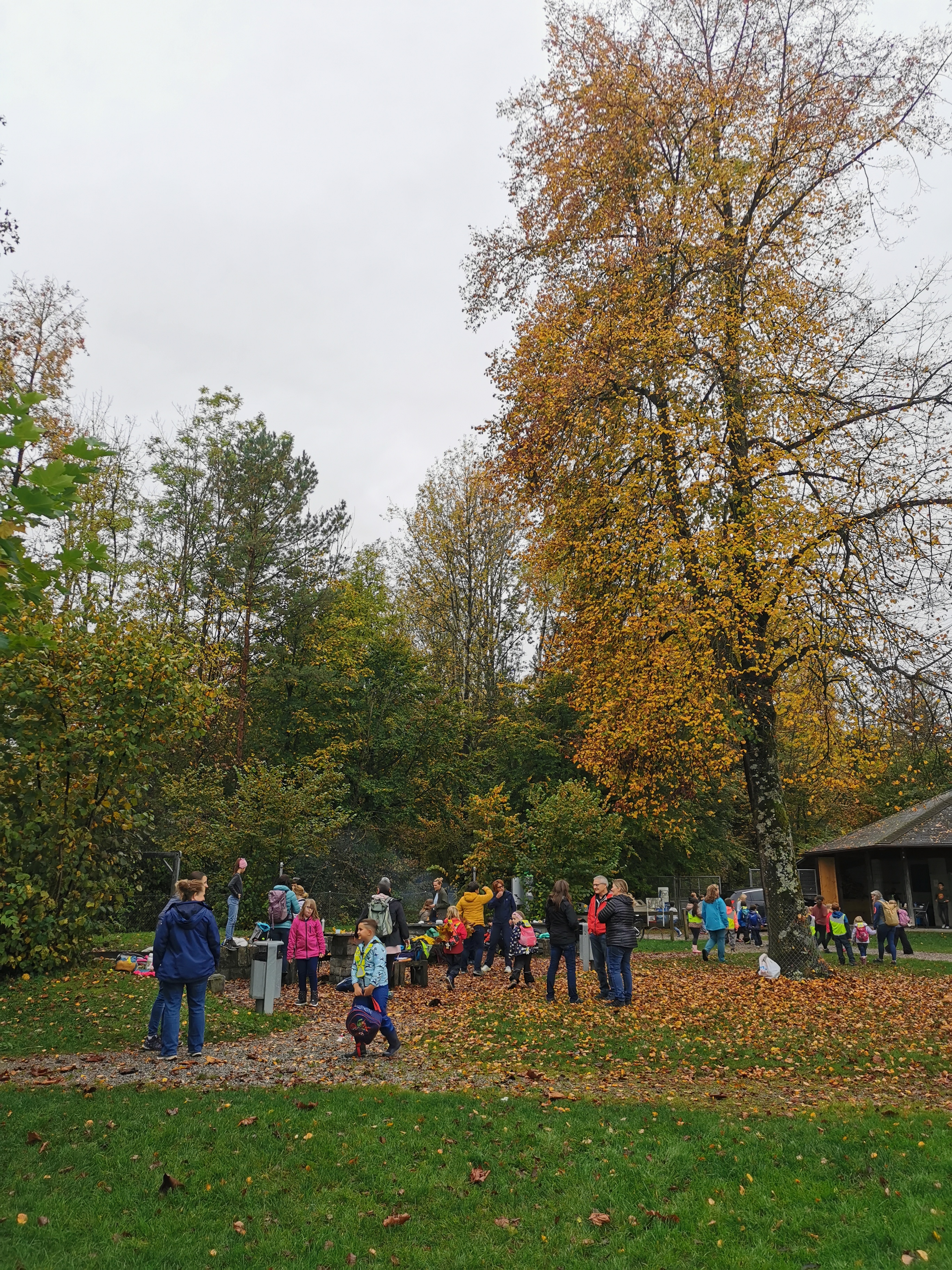 Herbstbummel Obermatt